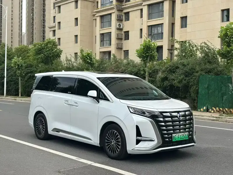 Denza D9, 2024