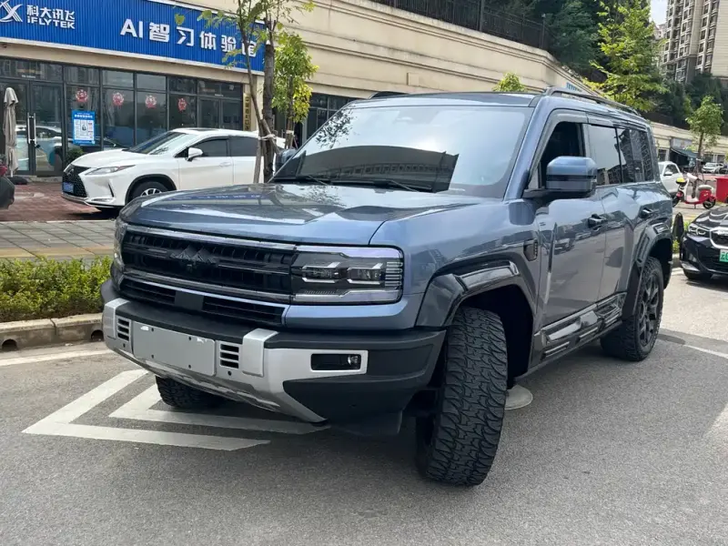Fang Cheng Bao Leopard 5, 2024