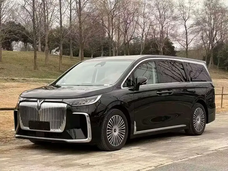 VOYAH Dreamer, 2024