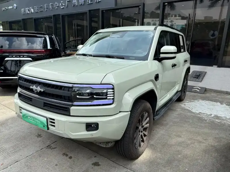 Fang Cheng Bao Leopard 5, 2025