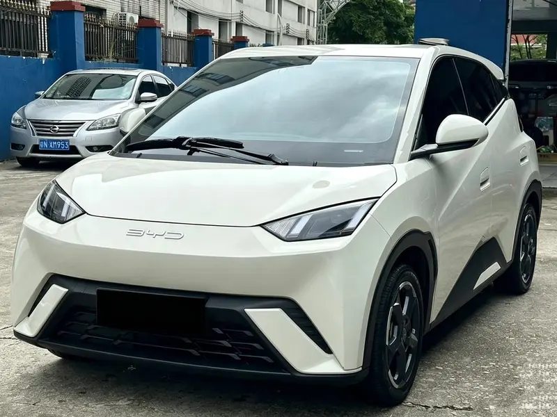 BYD Seagull, 2023