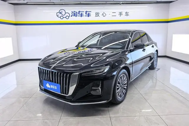 Hongqi H5, 2024