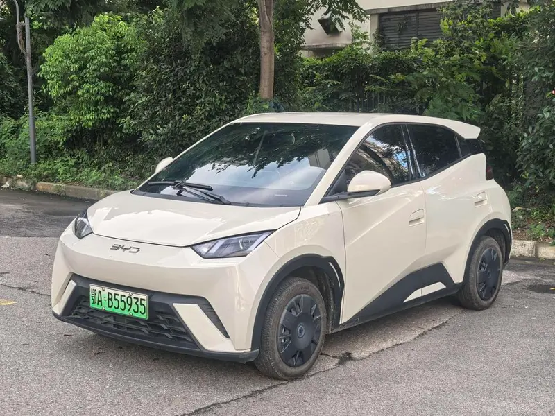 BYD Seagull, 2024