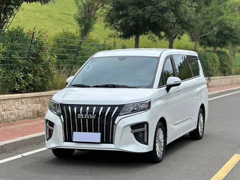 BAW Ruisheng Wangpai M7, 2023