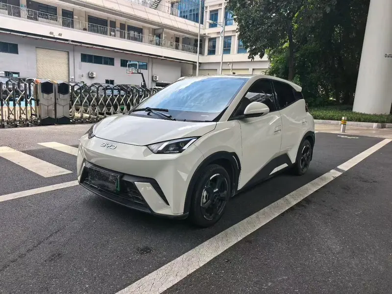 BYD Seagull, 2024