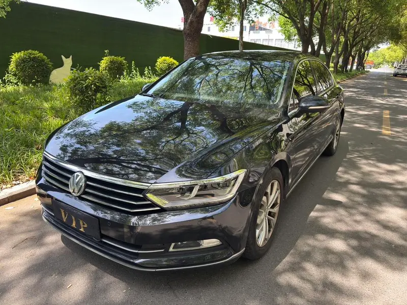 Volkswagen Magotan, 2019