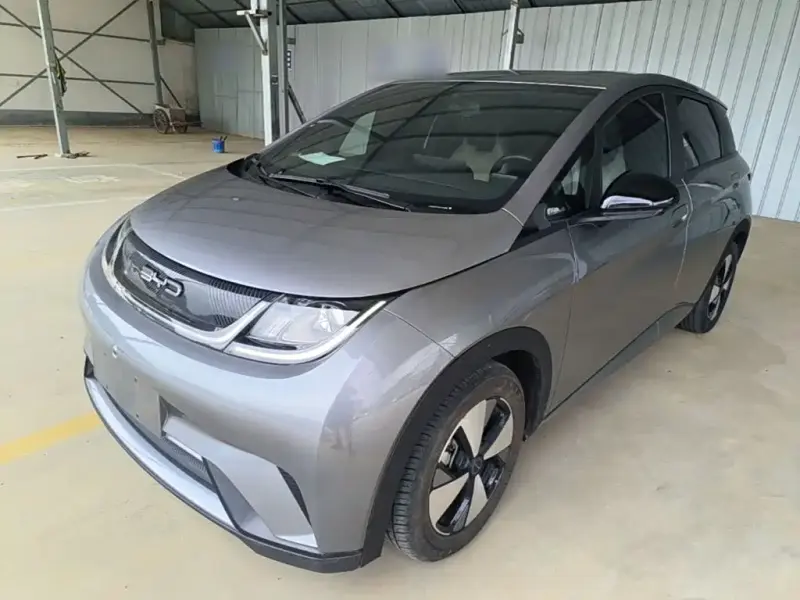 BYD Dolphin, 2023