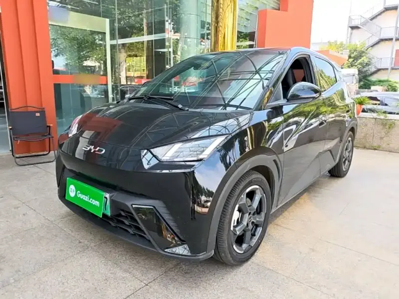 BYD Seagull, 2024