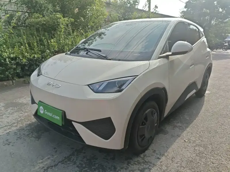 BYD Seagull, 2025