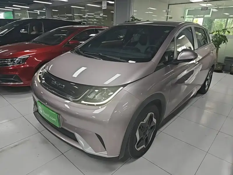 BYD Dolphin, 2022