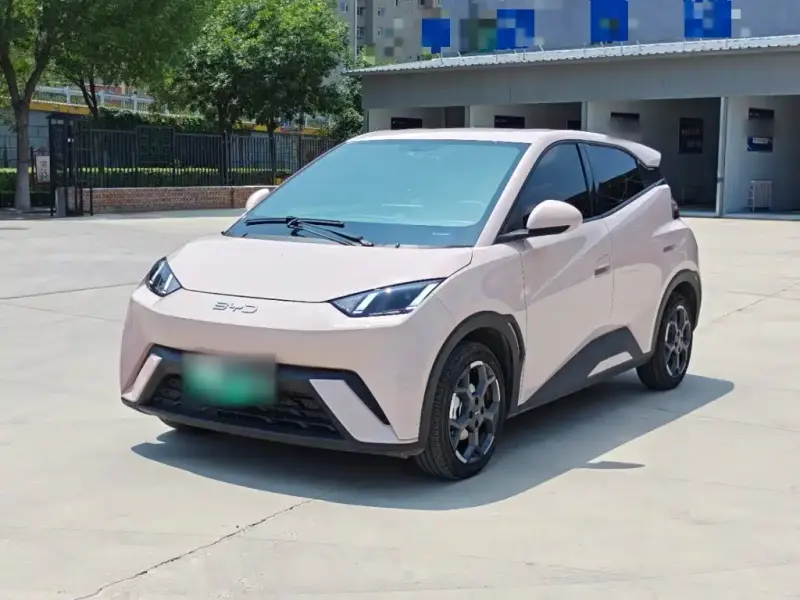 BYD Seagull, 2024
