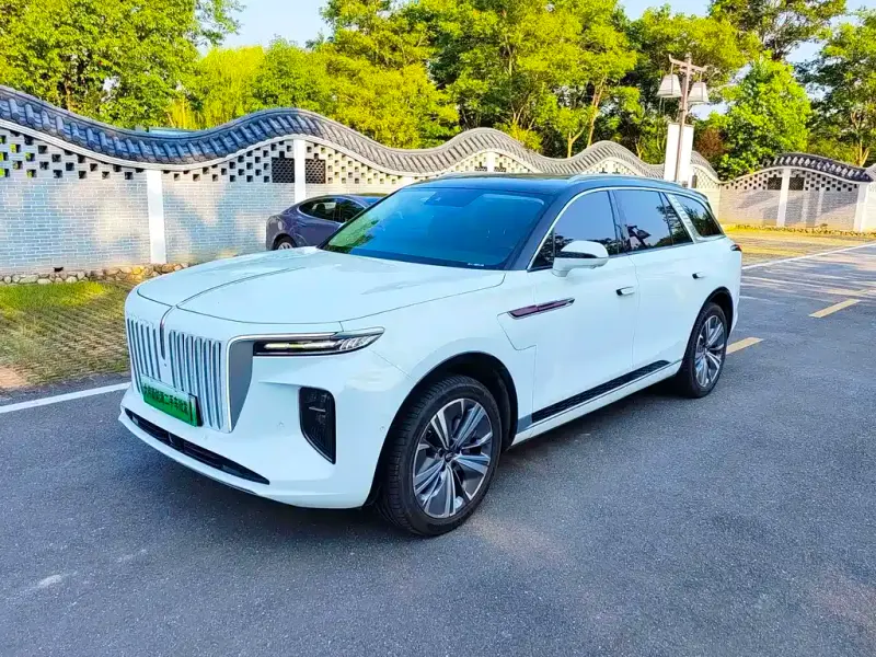 Hongqi E-HS9, 2021