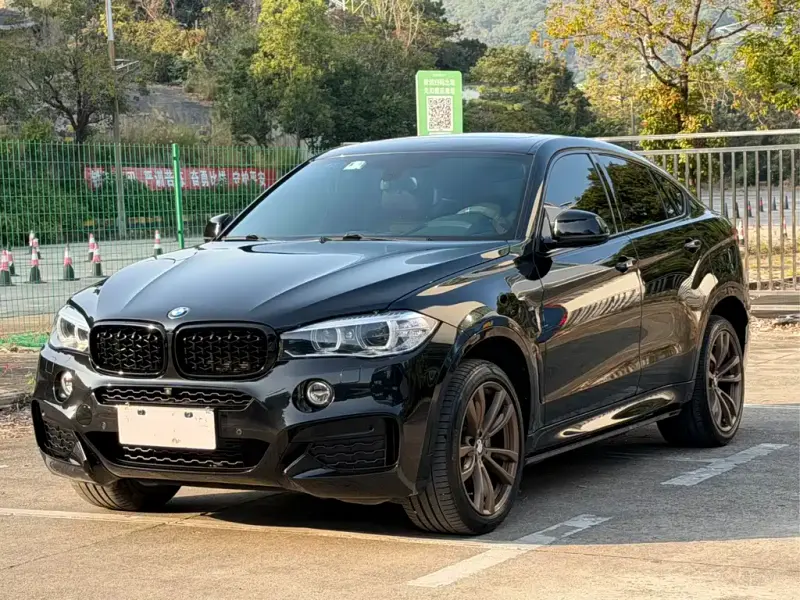 BMW X6, 2019