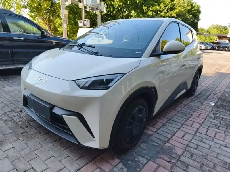 BYD Seagull, 2024