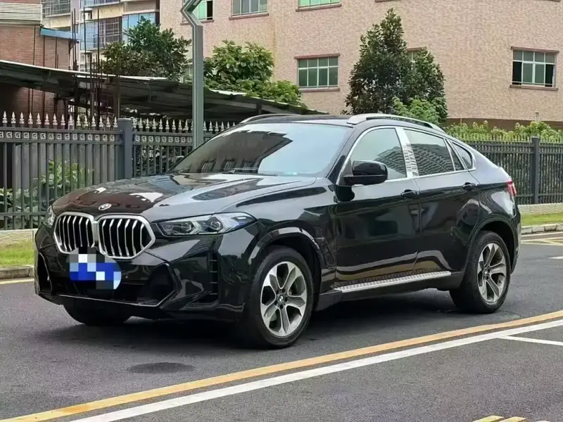 BMW X6, 2010