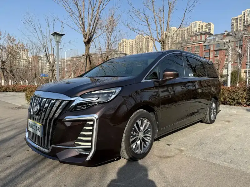 Buick GL8, 2021