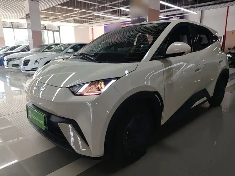 BYD Seagull, 2024