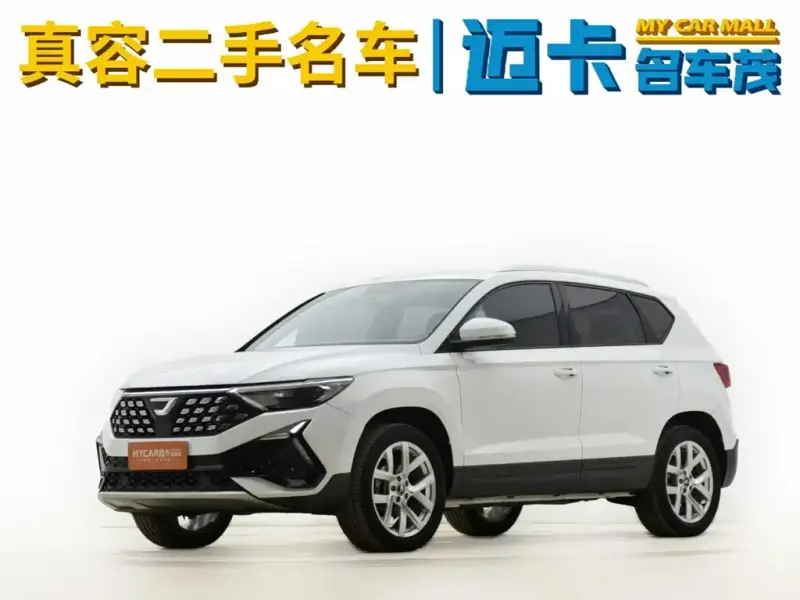Jetta VS5, 2024