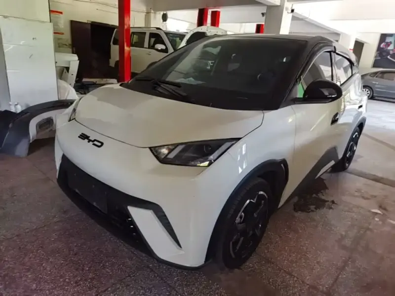 BYD Seagull, 2024