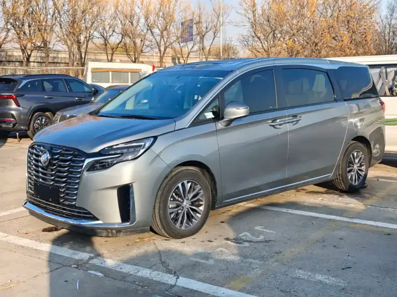 Buick GL8, 2024