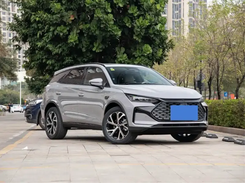 BYD Tang New Energy, 2026