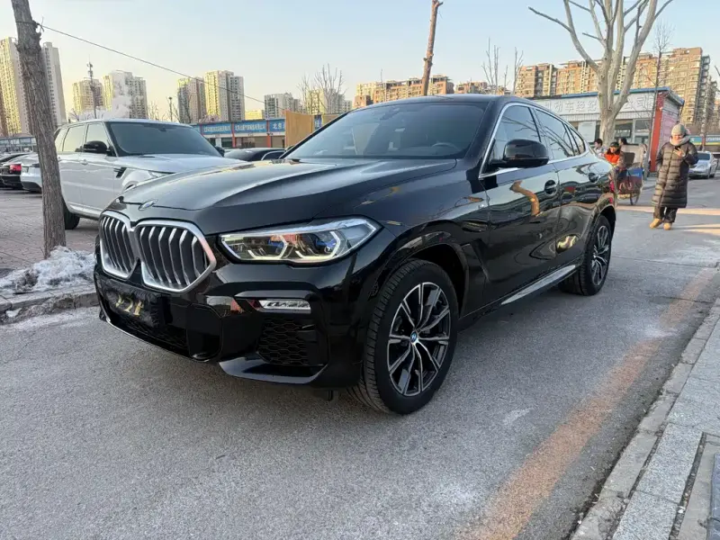 BMW X6, 2020