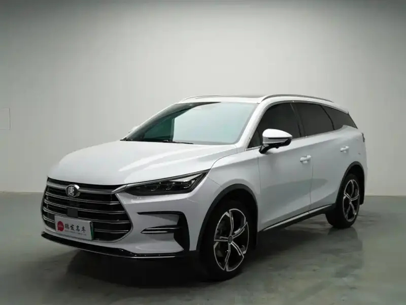 BYD Tang New Energy, 2023