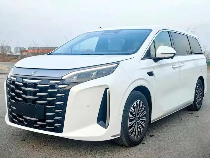 BYD Xia, 2025