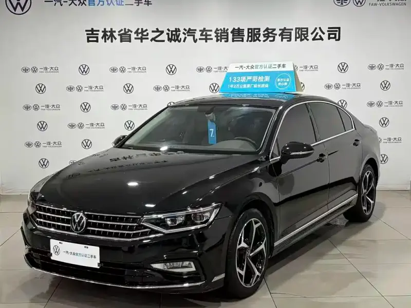 Volkswagen Magotan, 2024