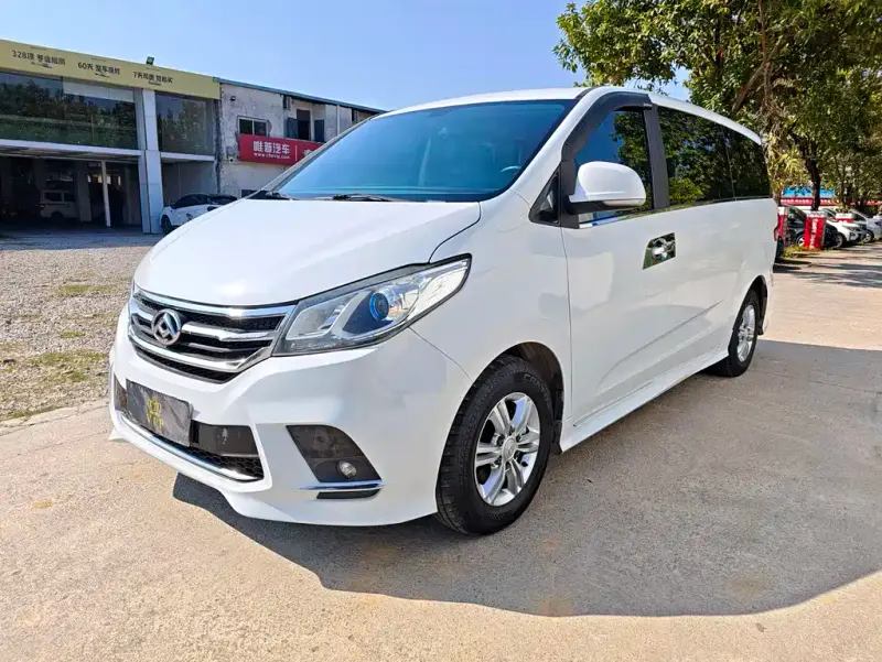 Maxus G10, 2019