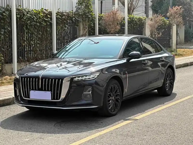Hongqi H5, 2024