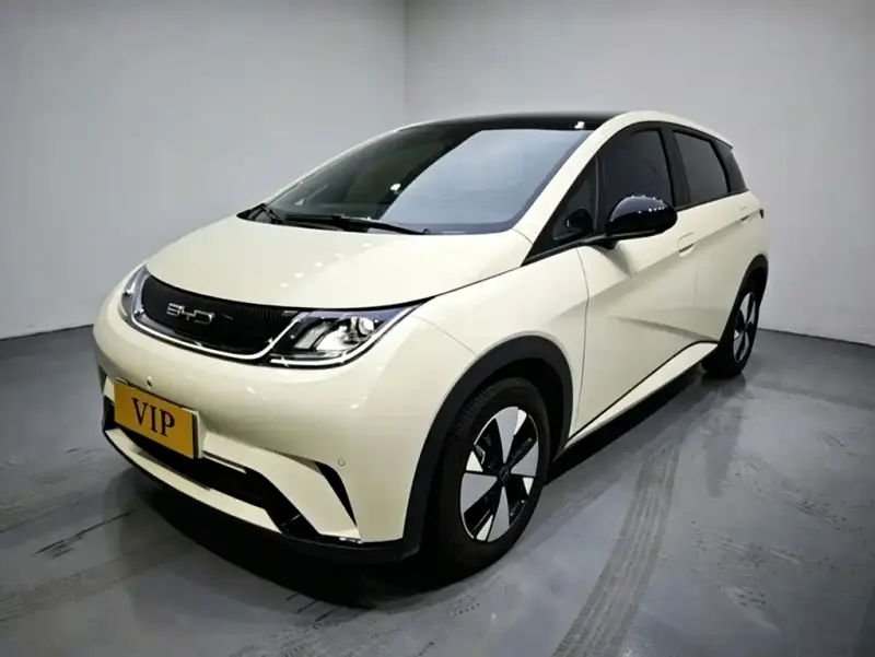 BYD Dolphin, 2024