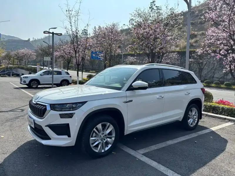Skoda Kodiaq, 2025