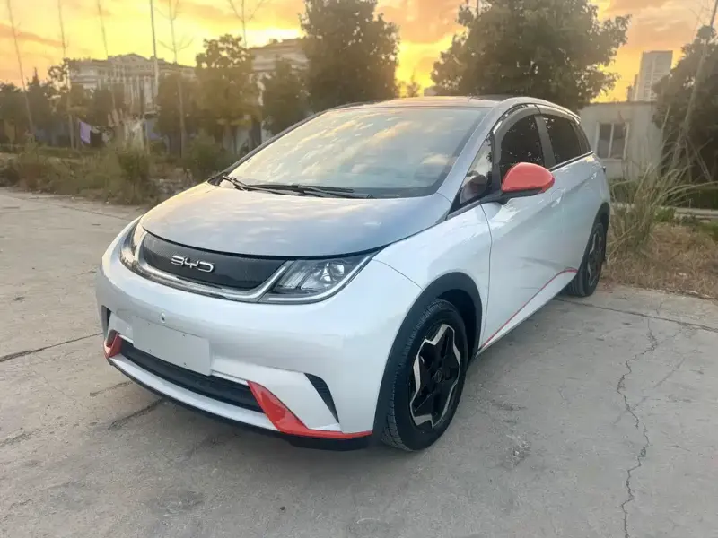BYD Dolphin, 2021