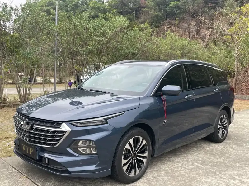 Wuling Victory, 2021