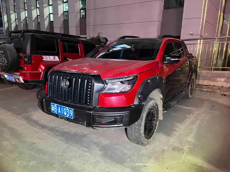 Dongfeng Rich 6, 2023