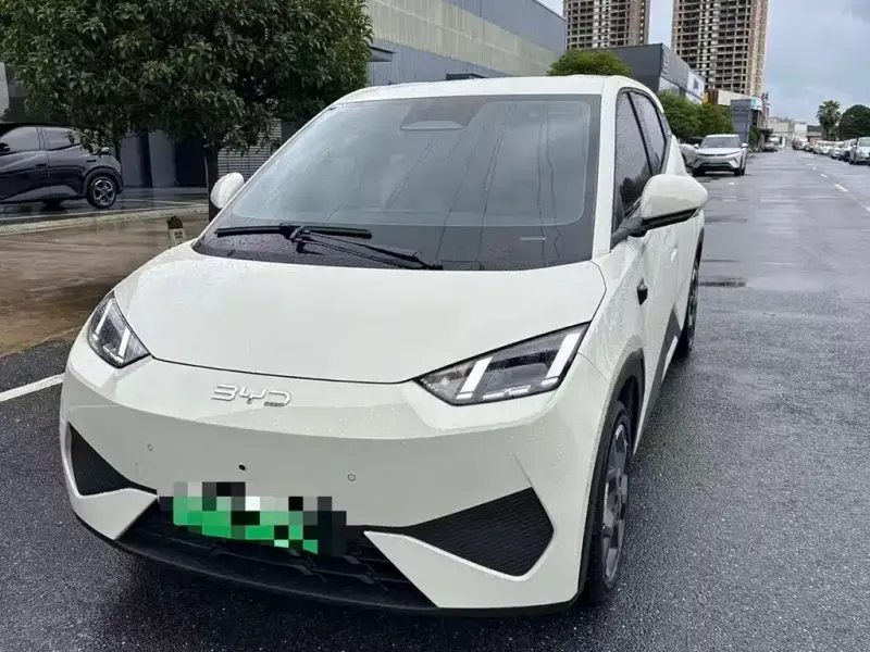 BYD Seagull, 2026