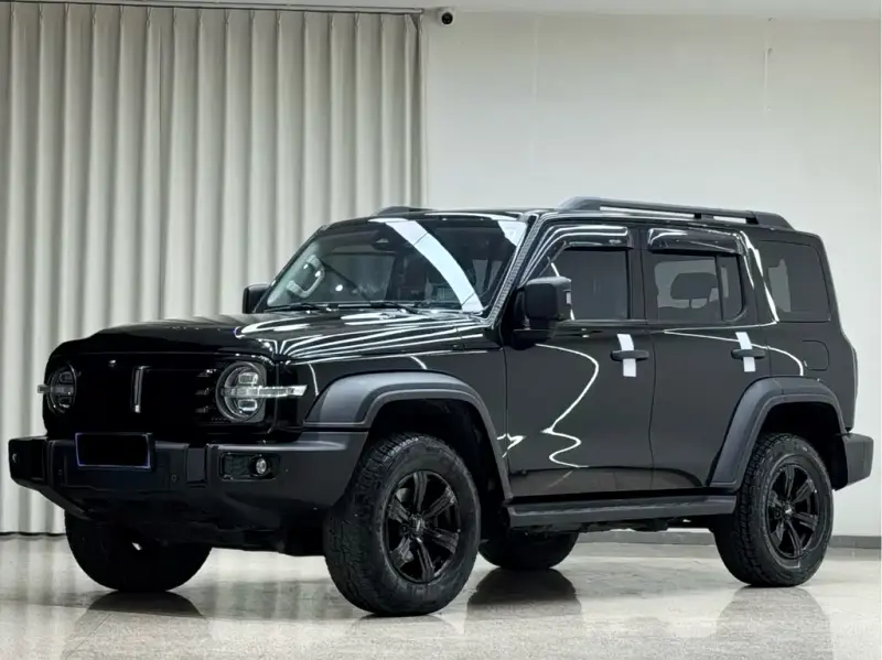 Tank 300, 2021