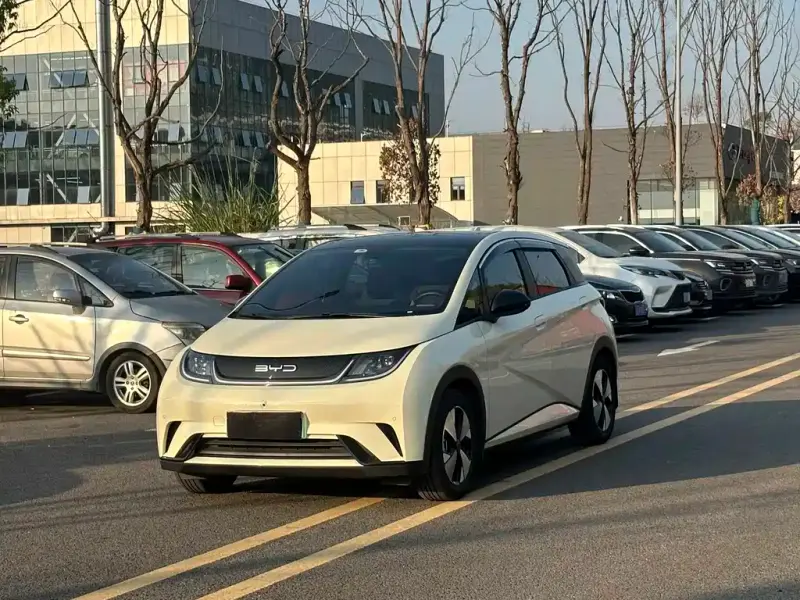 BYD Dolphin, 2023