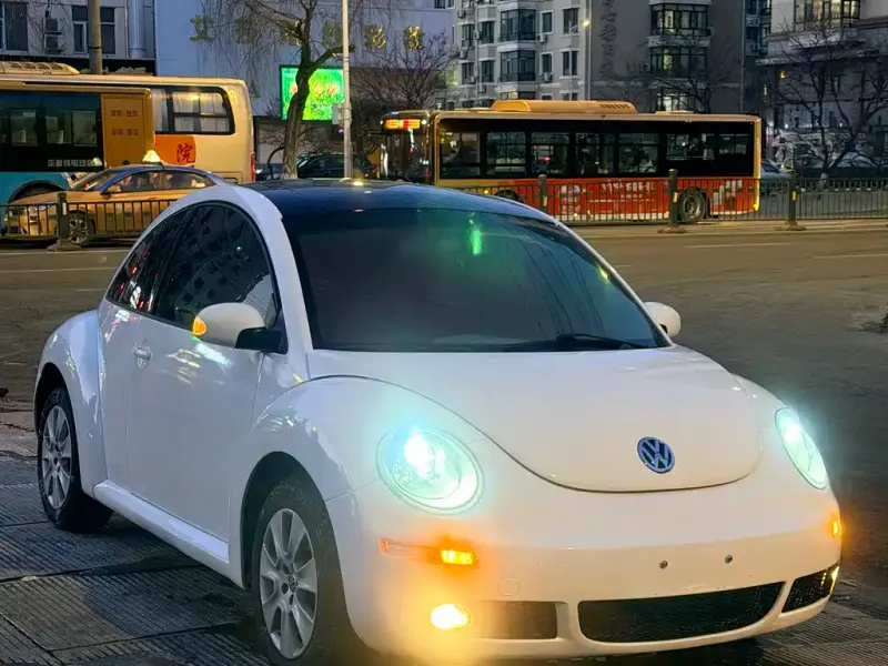 Volkswagen Beetle, 2008