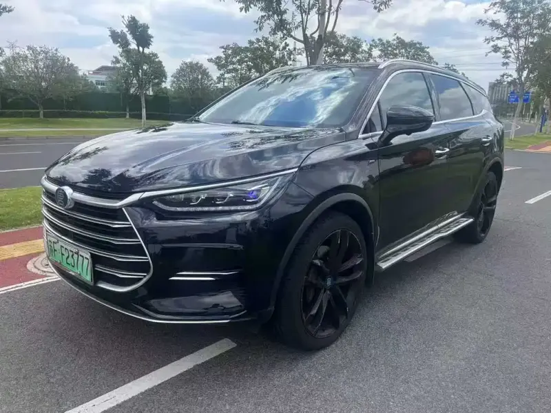 BYD Tang New Energy, 2021
