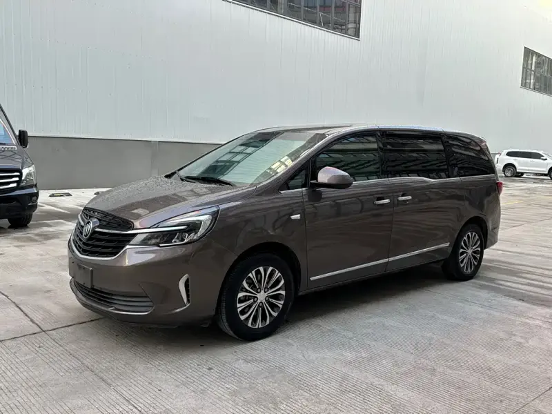 Buick GL8, 2020