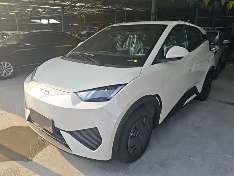BYD Seagull, 2026