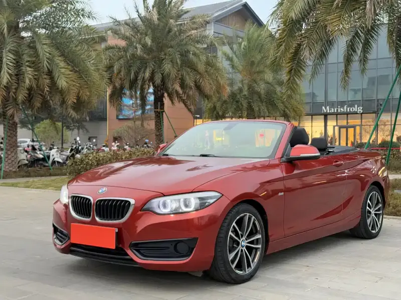 BMW 2 Series (Import), 2018