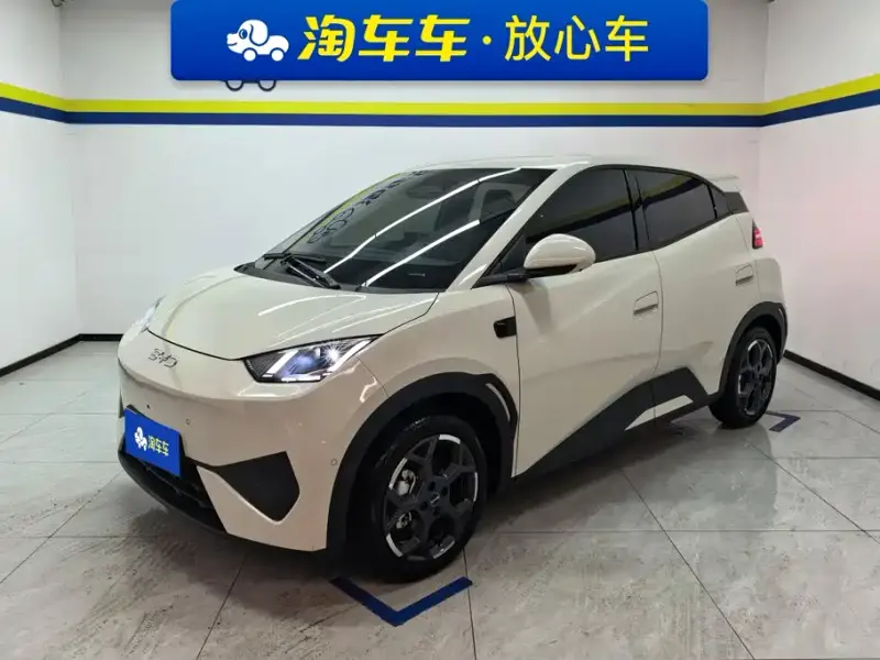 BYD Seagull, 2025