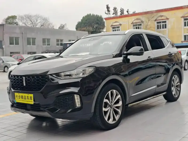 Wey VV6, 2019