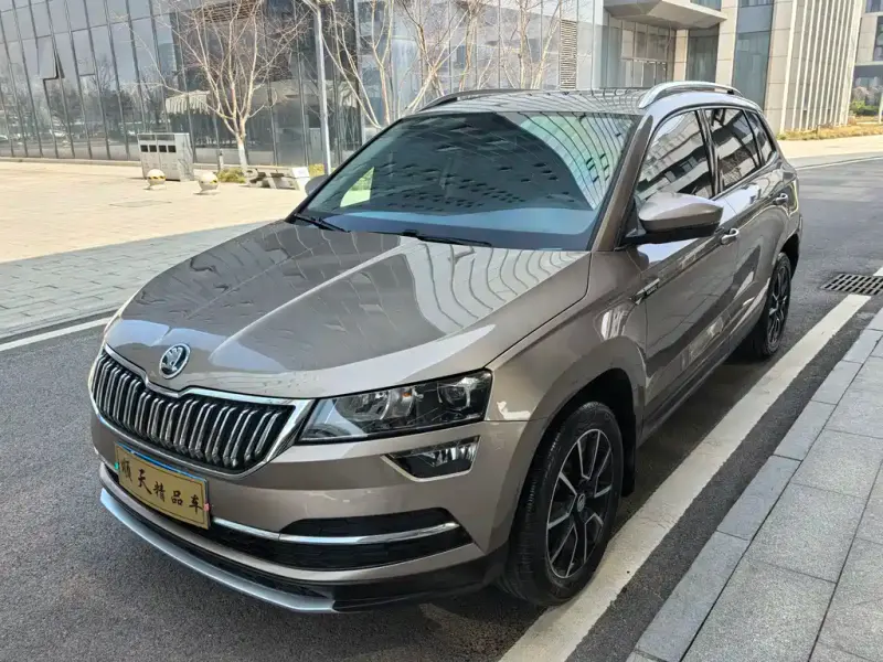 Skoda Karoq, 2019
