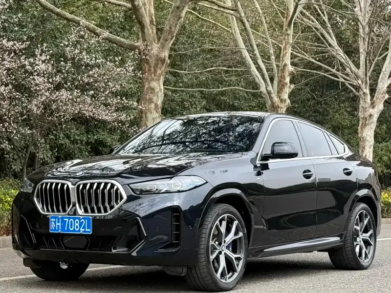 BMW X6, 2025