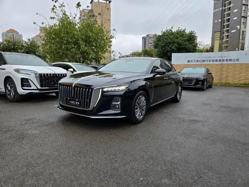 Hongqi H5, 2024