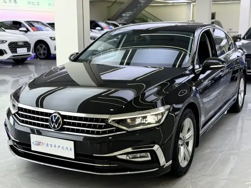 Volkswagen Magotan, 2024